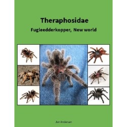 Theraphosidae: Fugleedderkopper, New world