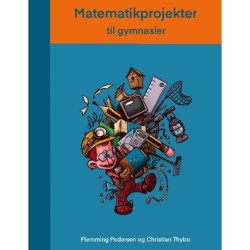 Matematikprojekter: til gymnasier