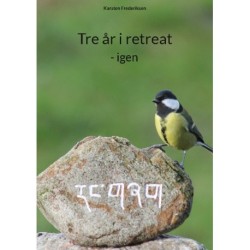 Tre år i retreat: - igen