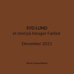 Syd Lund: et sted på Amager Fælled December 2021