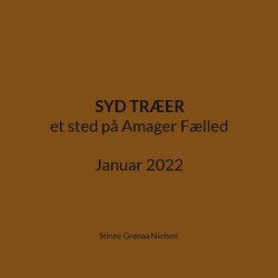 Syd Træer: et sted på Amager Fælled Januar 2022