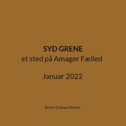 Syd Grene: et sted på Amager Fælled Januar 2022