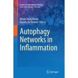 Autophagy Networks in Inflammation
