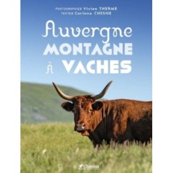 Auvergne montagne a vaches