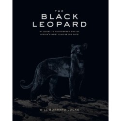 The Black Leopard: My Quest to Photograph One of Africa's Most Elusive Big Cats