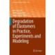 Degradation of Elastomers in Practice, Experiments and Modeling