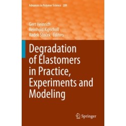 Degradation of Elastomers in Practice, Experiments and Modeling
