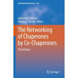 The Networking of Chaperones by Co-Chaperones