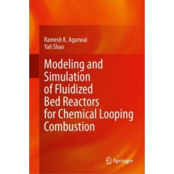 Modeling and Simulation of Fluidized Bed Reactors for Chemical Looping Combustion