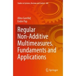 Regular Non-Additive Multimeasures. Fundaments and Applications
