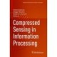 Compressed Sensing in Information Processing