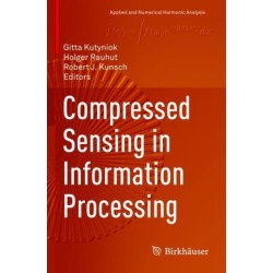 Compressed Sensing in Information Processing
