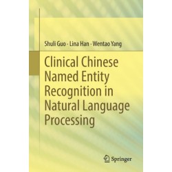 Clinical Chinese Named Entity Recognition in Natural Language Processing
