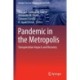 Pandemic in the Metropolis: Transportation Impacts and Recovery