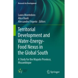 Territorial Development and Water-Energy-Food Nexus in the Global South: A Study for the Maputo Province, Mozambique