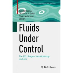 Fluids Under Control: The 2021 Prague-Sum Workshop Lectures