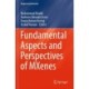Fundamental Aspects and Perspectives of MXenes