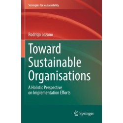 Toward Sustainable Organisations: A Holistic Perspective on Implementation Efforts