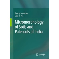Micromorphology of Soils and Paleosols of India