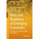 Risks and Resilience of Emerging Economies: Essays in Honour of Professor Ajitava Raychaudhuri