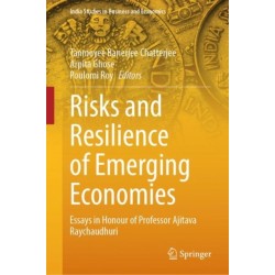 Risks and Resilience of Emerging Economies: Essays in Honour of Professor Ajitava Raychaudhuri