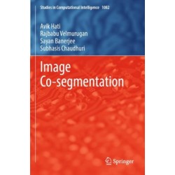 Image Co-segmentation