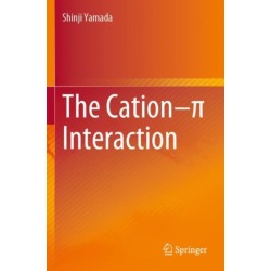 The Cation–p Interaction