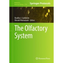 The Olfactory System