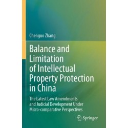 Balance and Limitation of Intellectual Property Protection in China: The Latest Law Amendments and Judicial Development Under Micro-comparative Perspectives