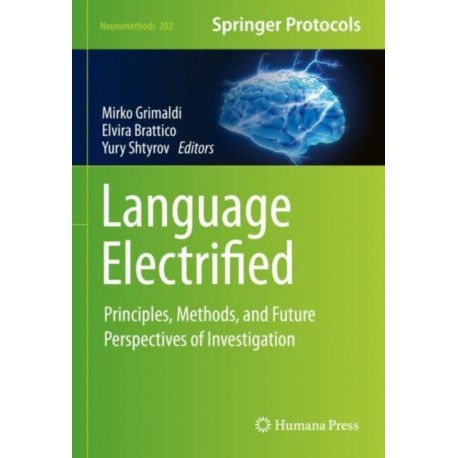 Language Electrified: Principles, Methods, and Future Perspectives of Investigation