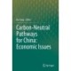 Carbon-Neutral Pathways for China: Economic Issues