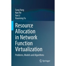Resource Allocation in Network Function Virtualization: Problems, Models and Algorithms
