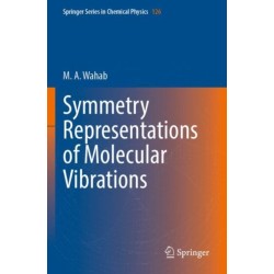 Symmetry Representations of Molecular Vibrations