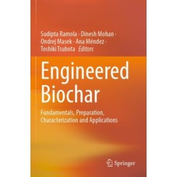 Engineered Biochar: Fundamentals, Preparation, Characterization and Applications