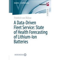 A Data-Driven Fleet Service: State of Health Forecasting of Lithium-Ion Batteries