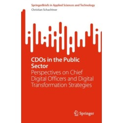 CDOs in the Public Sector: Perspectives on Chief Digital Officers and Digital Transformation Strategies