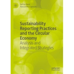 Sustainability Reporting Practices and the Circular Economy: Analysis and Integrated Strategies