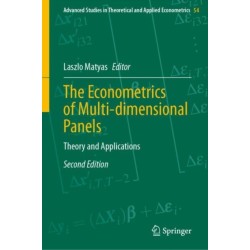 The Econometrics of Multi-dimensional Panels: Theory and Applications