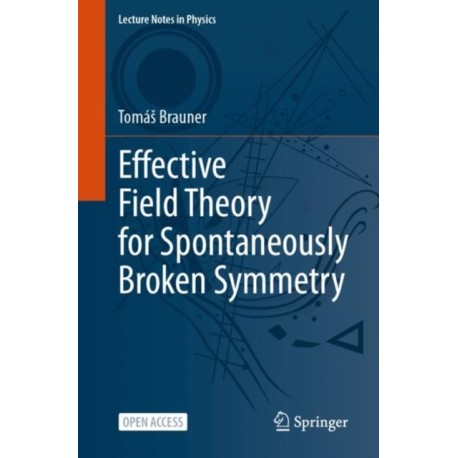 Effective Field Theory for Spontaneously Broken Symmetry