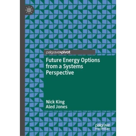 Future Energy Options from a Systems Perspective