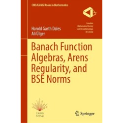 Banach Function Algebras, Arens Regularity, and BSE Norms