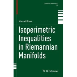 Isoperimetric Inequalities in Riemannian Manifolds