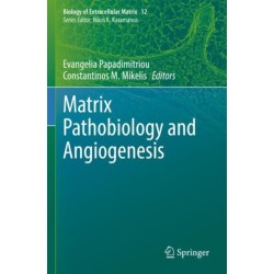 Matrix Pathobiology and Angiogenesis