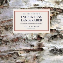 En sti gennem indsigtens landskaber: Et essay om meditation og bevidsthed