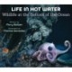 Life in Hot Water: Wildlife at the Bottom of the Ocean