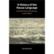 A History of the Hausa Language: Reconstruction and Pathways to the Present
