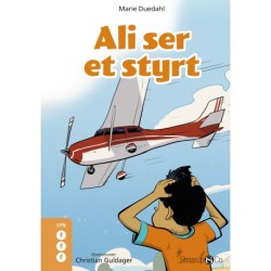 Ali ser et styrt