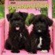 SCHNAUZER PUPPIES 2024 SQUARE