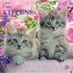 CUTE KITTENS 2024 SQUARE STKR STARGIFTS