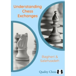 Understanding Chess Exchanges